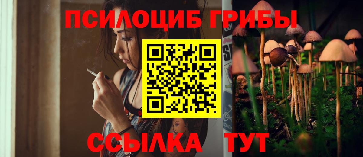 Псилоцибиновые грибы Magic Shrooms  Вход с VPN  Камышлов 